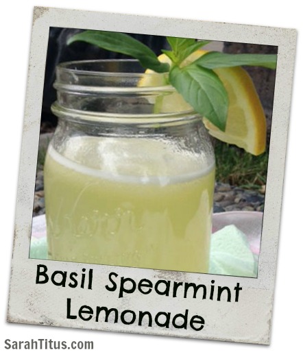 Basil Spearmint Lemonade {Recipe} - Sarah Titus