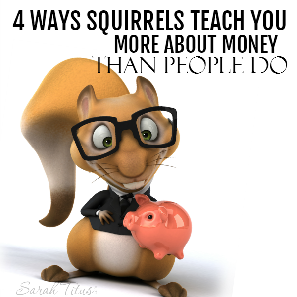 4 Ways Squirrels Teach You More About Money Than People Can Sarah Titus