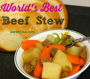 worlds best beef stew