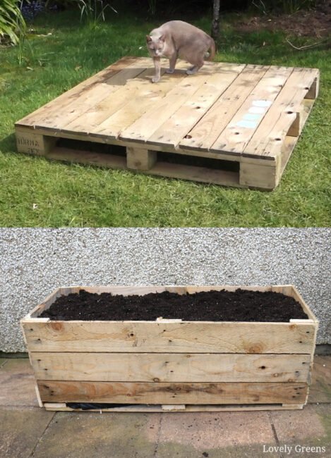 How to Build a Pallet Wood Planter