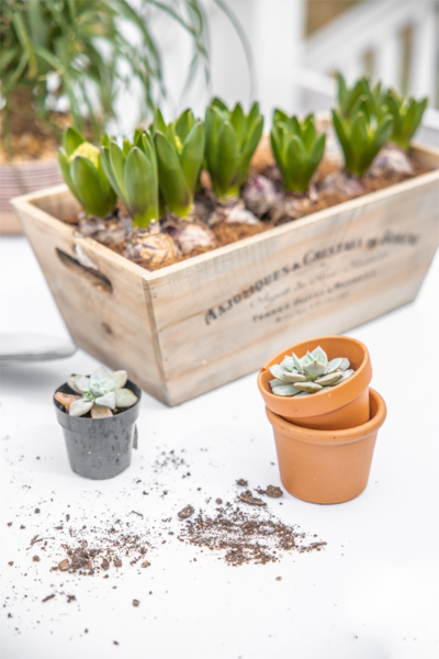 How To Reuse Your Old Gardening Pots