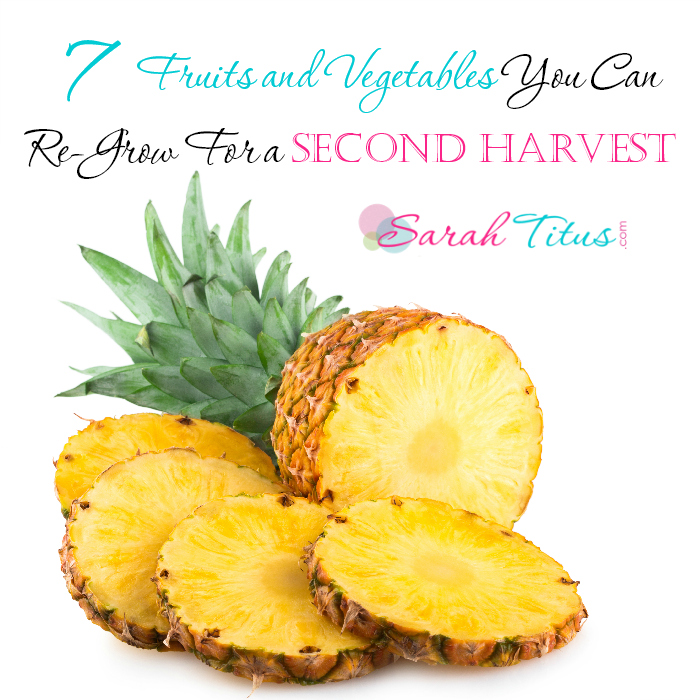 7 Fruits and Vegetables You Can Re-Grow For a Second Harvest #regrowgarden