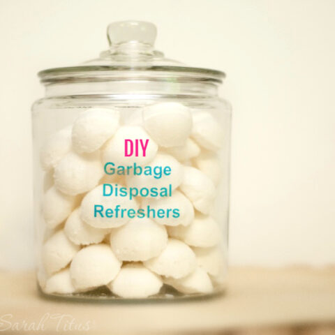 DIY: Garbage Disposal Refreshers