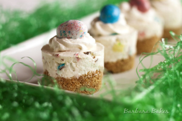 Robins-Egg-No-Bake-Cheesecake-2-Barbara-Bakes