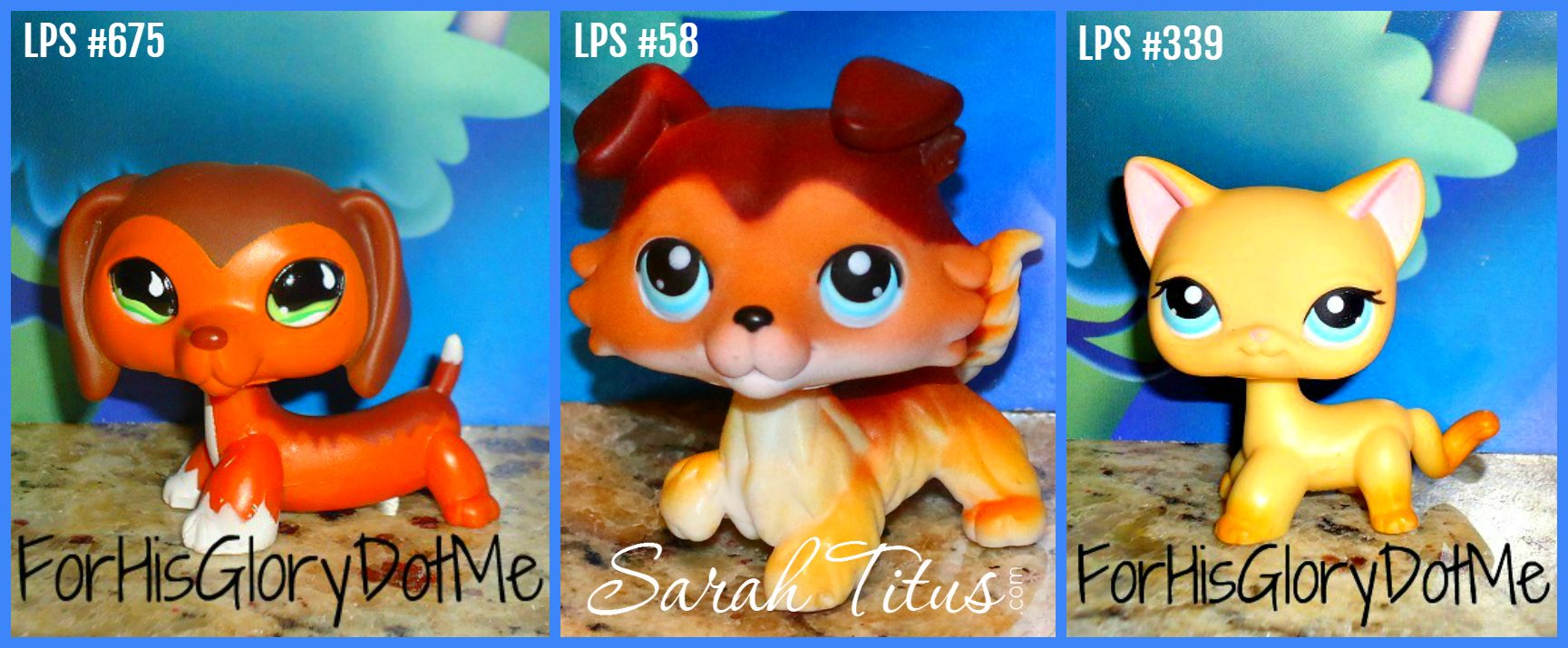 LPS Buying Guide - Sarah Titus