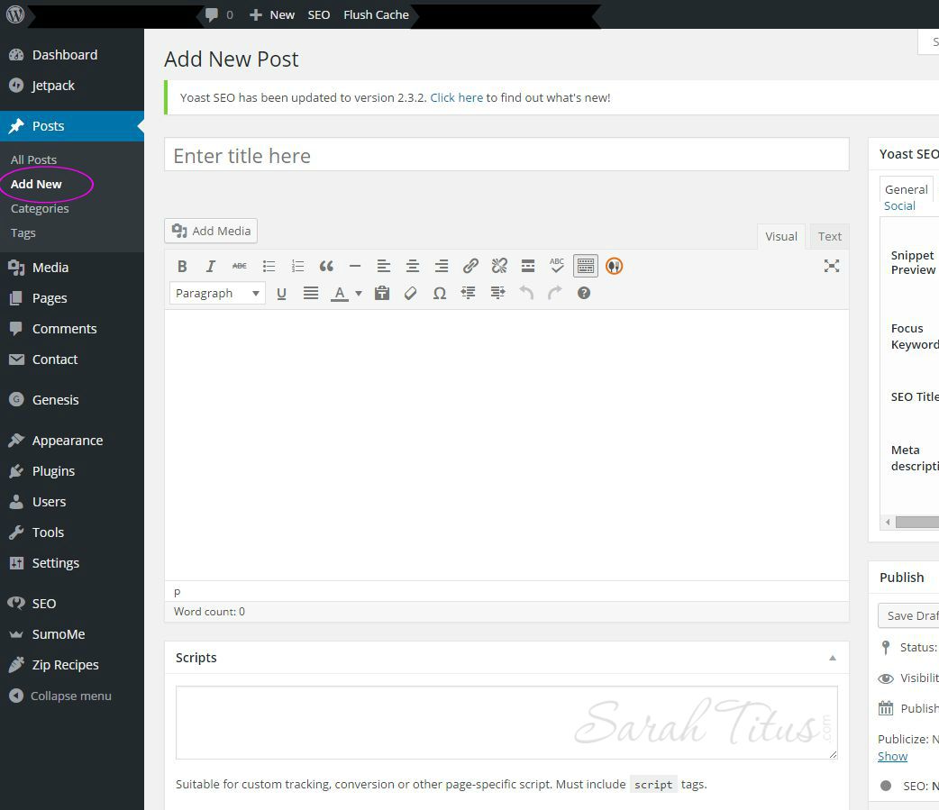 Wordpress dashboard page on adding a new post