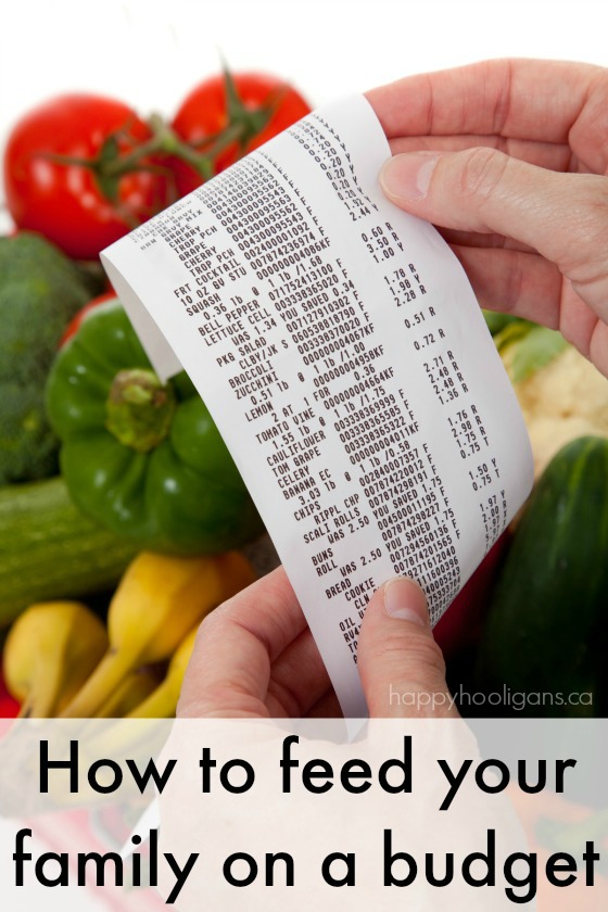 Everything you need to know to feed your family on a budget in one place!