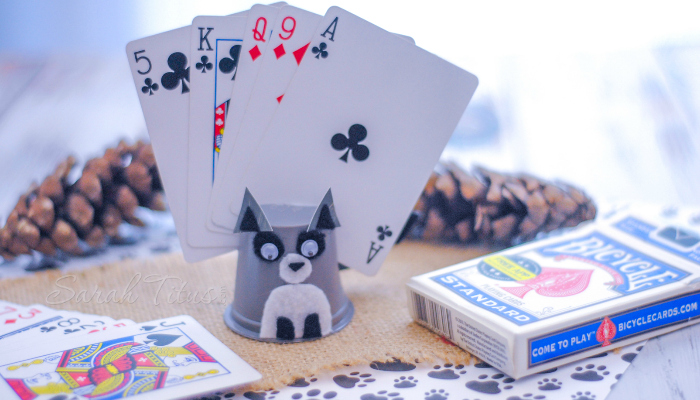 Raccoon K-cup Card Holder for kids playing card games to hold their cards for them