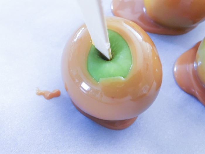 Popsicle stick inserted in apple dipped in caramel sauce and placed on parchment paper to cool