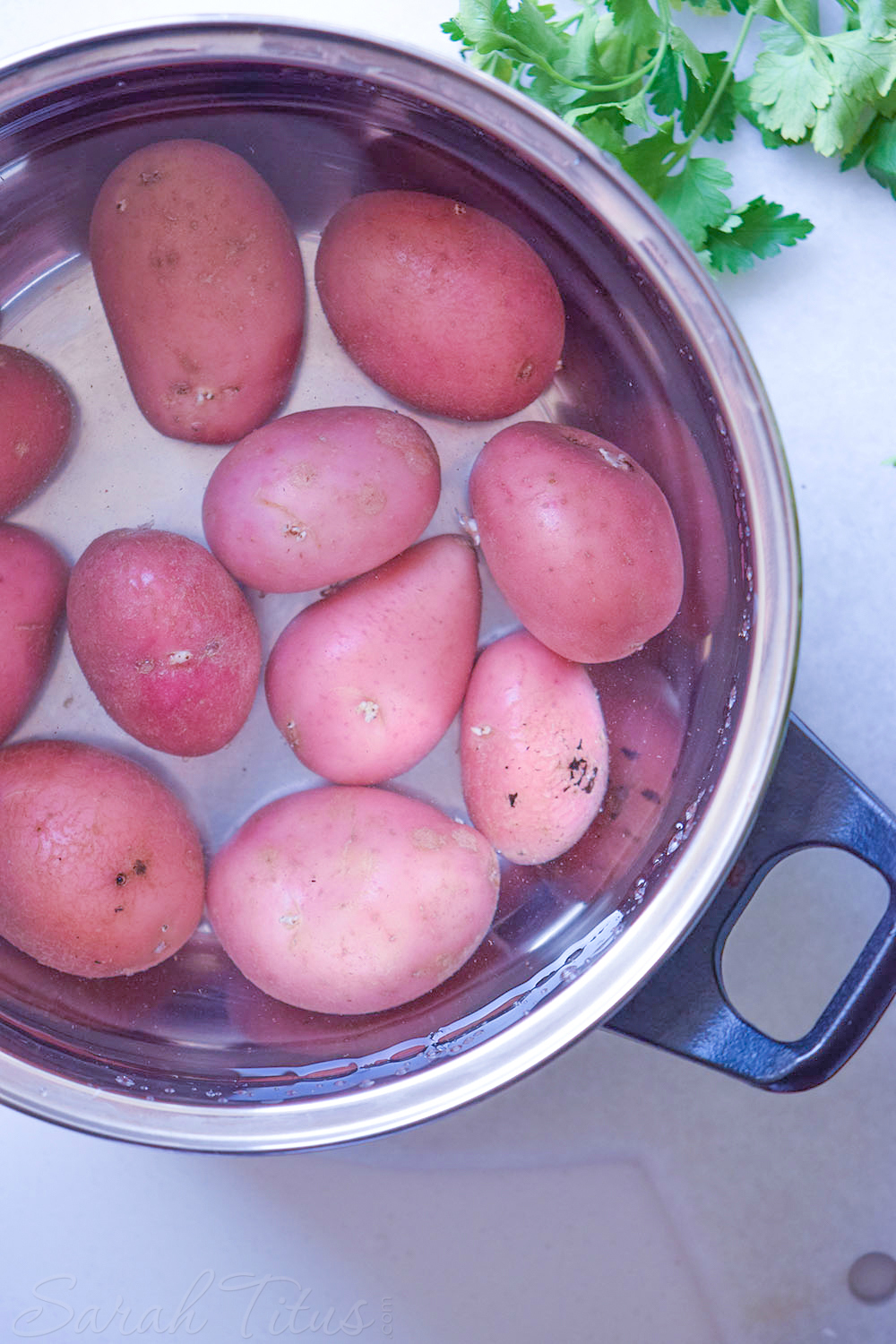 Small red potatoes in a pan of water to cook