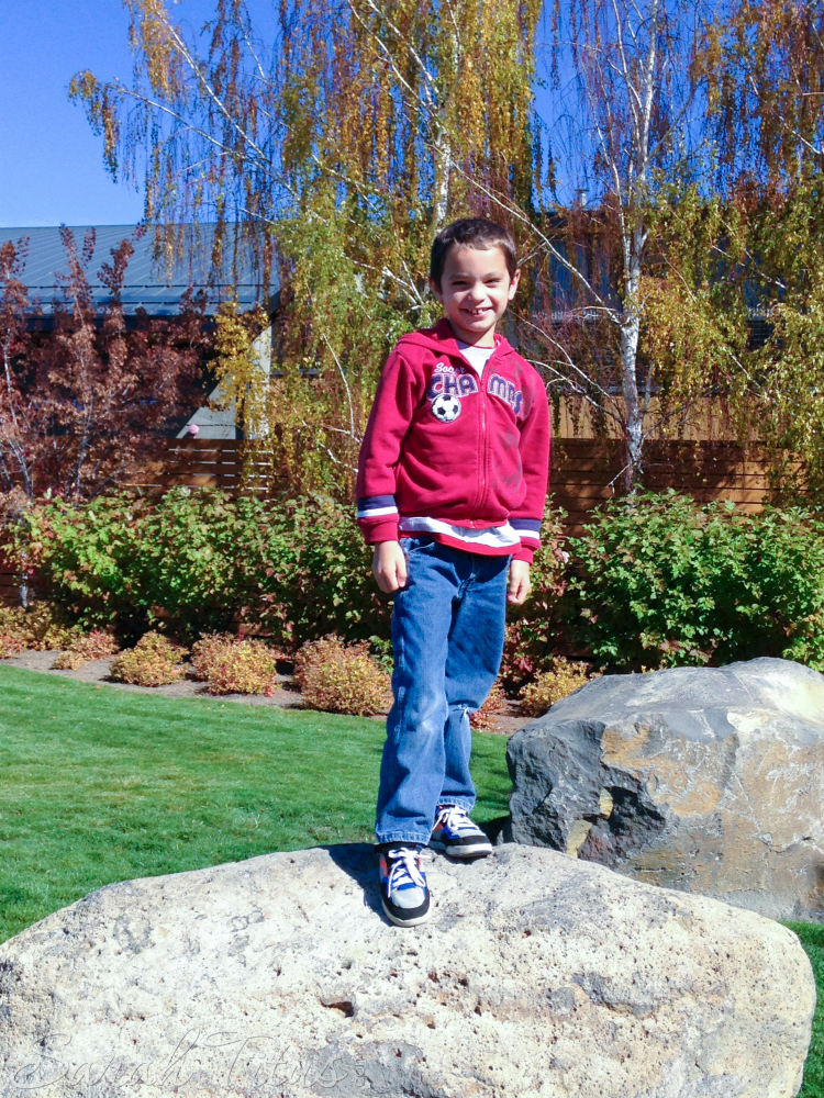 Boy standing on a large rock outside a mall on a road trip
