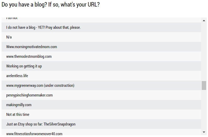 Chart of results for who has a blog and who doesn't. 76% don't and 24% do.