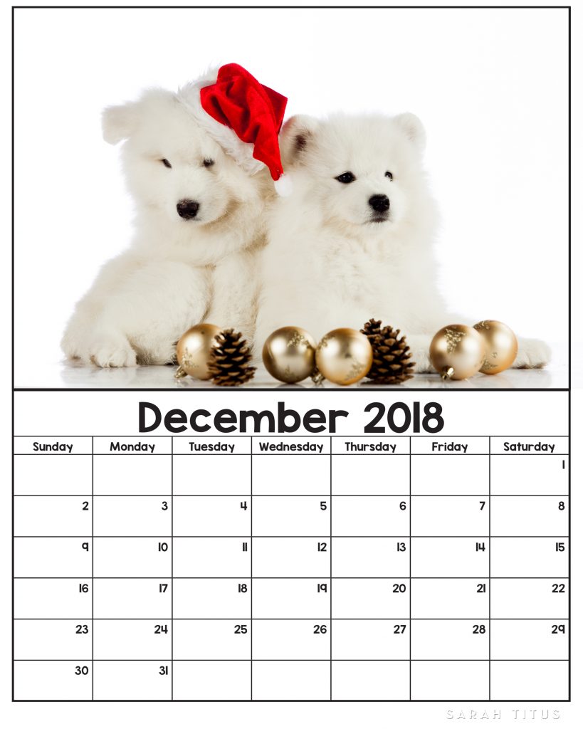 november dog calendar