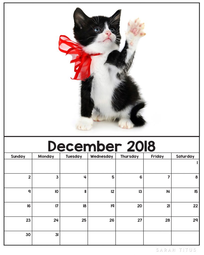Free Printable 2018 Kitten Calendars - Sarah Titus Free Printable 2018 Kitten Calendars - Sarah Titus