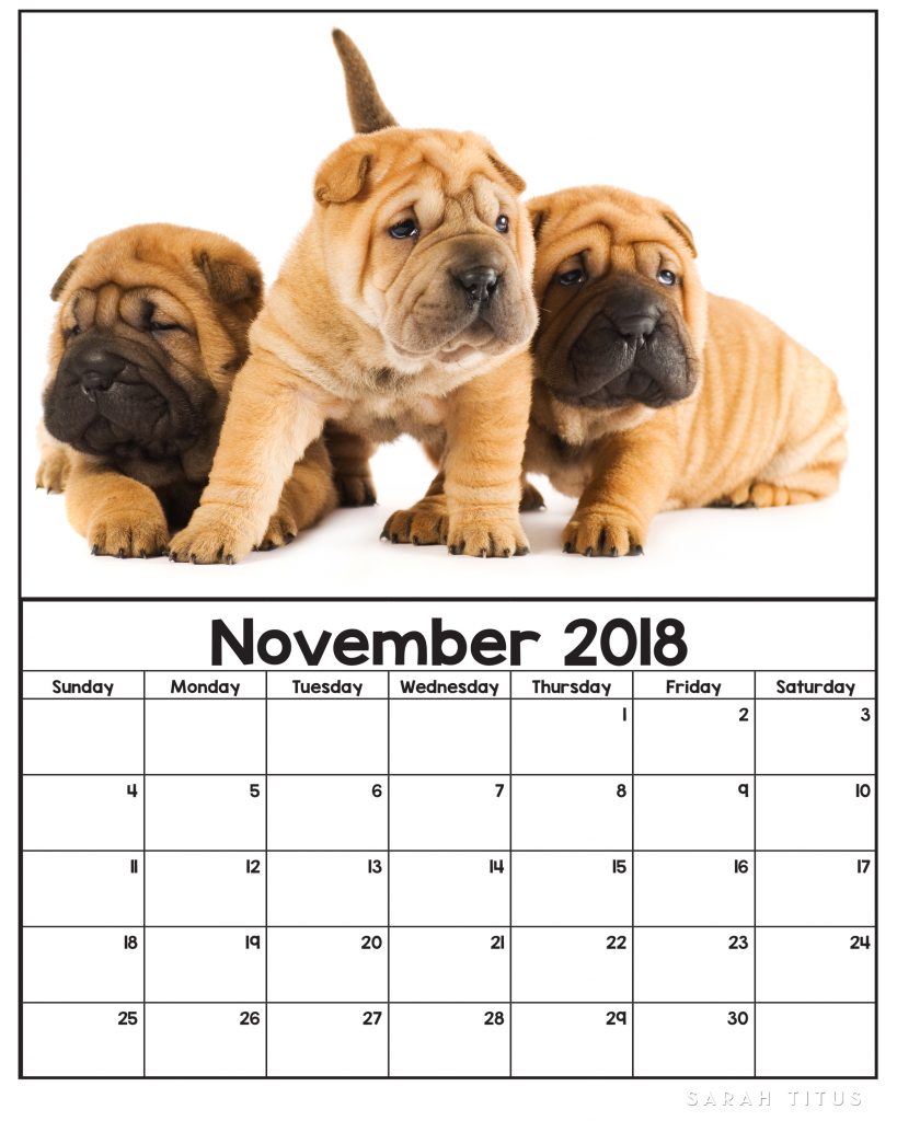 november dog calendar