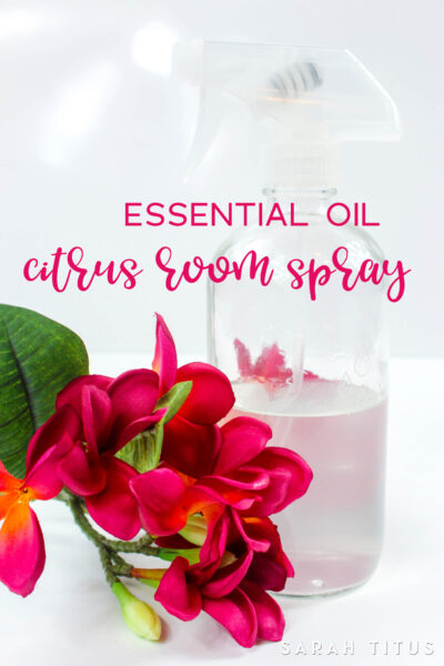 Whenever company is coming, I take out my essential oil citrus room spray and spray it in the air. Smells like a nice, fresh, clean home! 