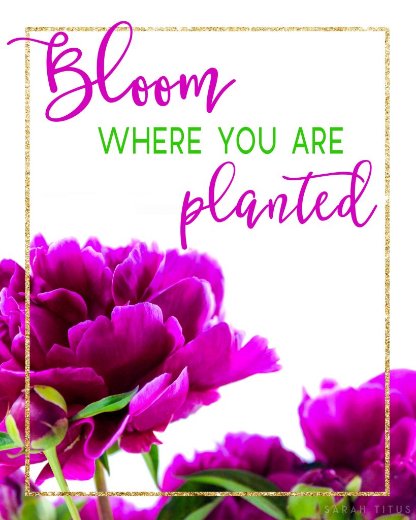 Whatever your lot in life, you don't have to stay there. Take it from someone who has been homeless three times! Grab this free printable Bloom Where You Are Wall Art printable today! #bloomwhereyouare #inspirationalwallart #freewallartprintables #freeprintables