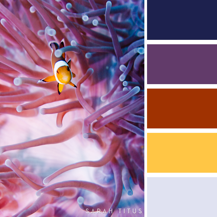 Do you need to plan a party, buy a new wardrobe, or decorate your home for the summer season? These super cool 25 Summer Color Palettes are all so beautiful and astonishing, I hope you get tons of ideas and inspiration for all your plans during this season!