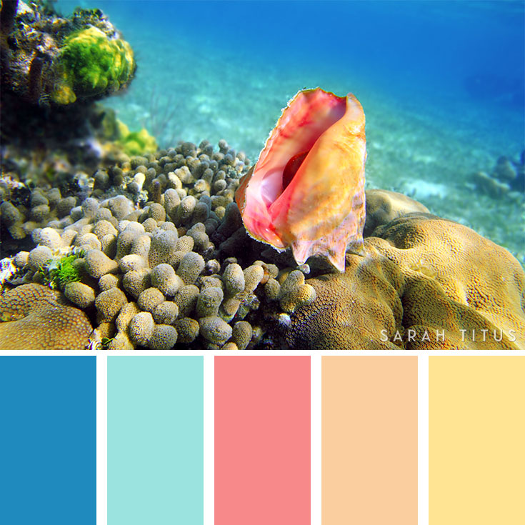 Color Inspiration Thursday {35}  Ocean color palette, Color inspiration, Ocean  colors