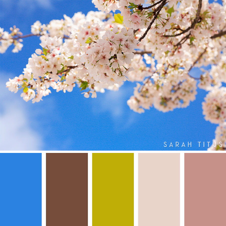 Have you ever been stuck because you don't know how to mix and match colors? I have, and it sucks; let's get some help from the spring season to plan parties, choose new clothing, and decorate our homes with these beautiful 25 Spring Color Palettes.