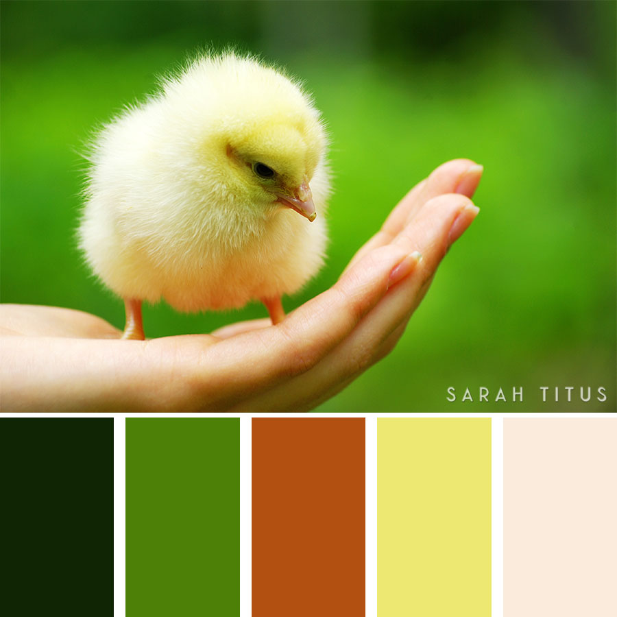 Have you ever been stuck because you don't know how to mix and match colors? I have, and it sucks; let's get some help from the spring season to plan parties, choose new clothing, and decorate our homes with these beautiful 25 Spring Color Palettes.