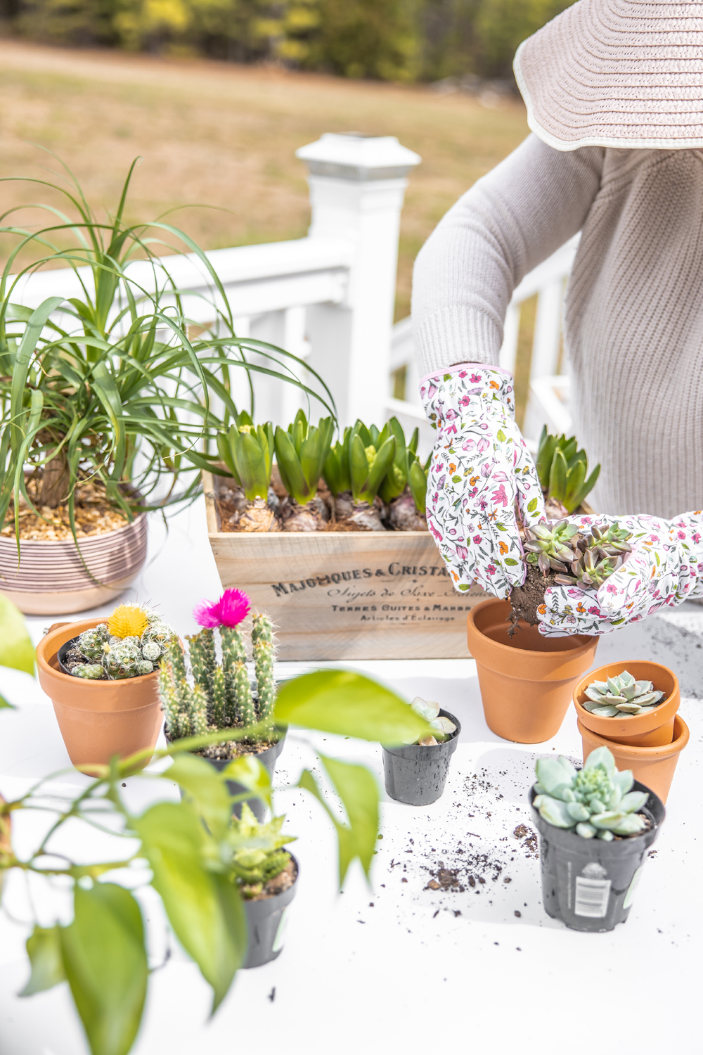 How to Landscape Your Yard For Less