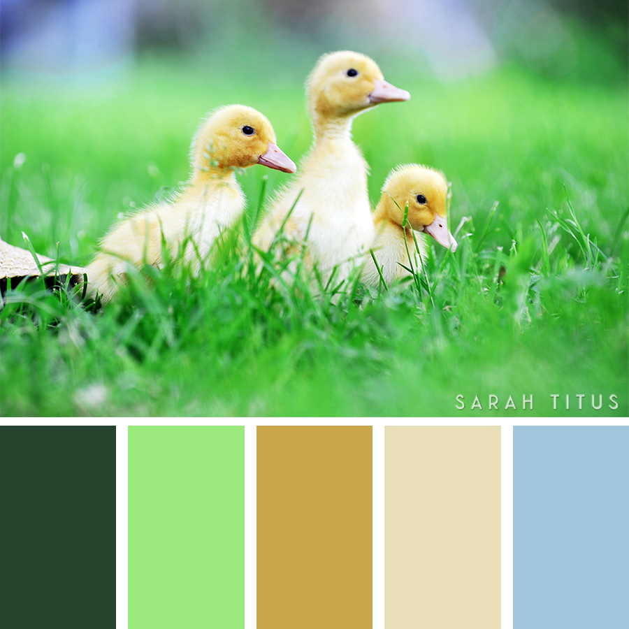 Picking out the right colors for your website, crafts, and designs can be quite difficult sometimes! Trust me, I have been there. Get the best inspiration you can get from these 25 Easter Color Palettes. Let me tell you, all of your projects will look divine! 