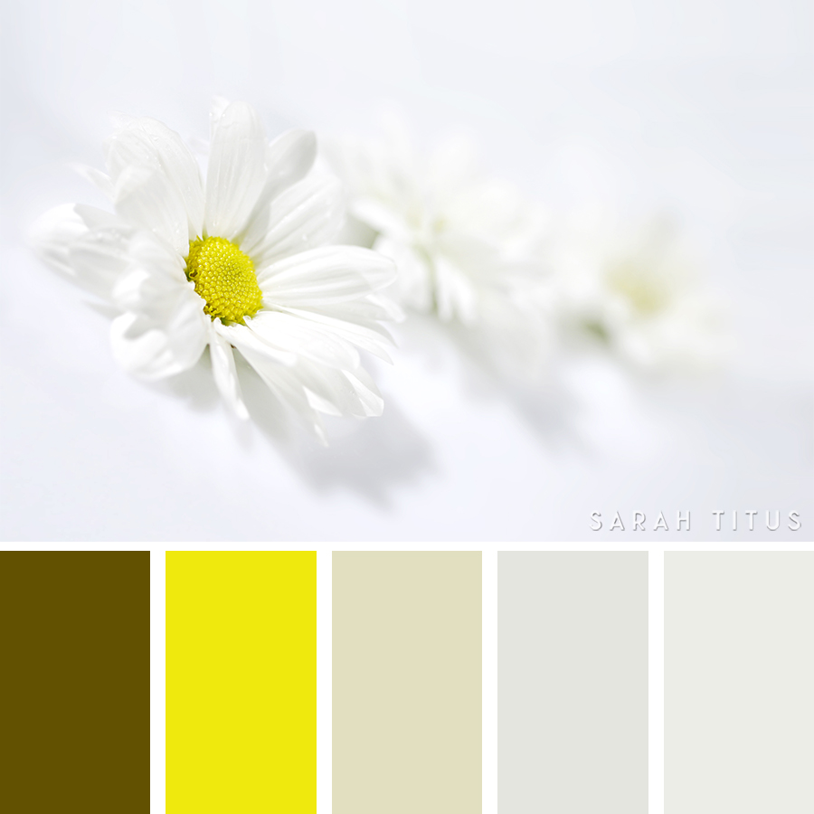 Picking out the right colors for your website, crafts, and designs can be quite difficult sometimes! Trust me, I have been there. Get the best inspiration you can get from these 25 Easter Color Palettes. Let me tell you, all of your projects will look divine! 