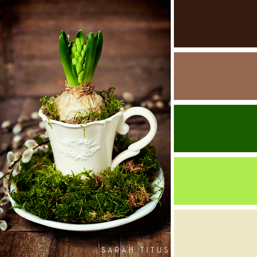 Picking out the right colors for your website, crafts, and designs can be quite difficult sometimes! Trust me, I have been there. Get the best inspiration you can get from these 25 Easter Color Palettes. Let me tell you, all of your projects will look divine! 