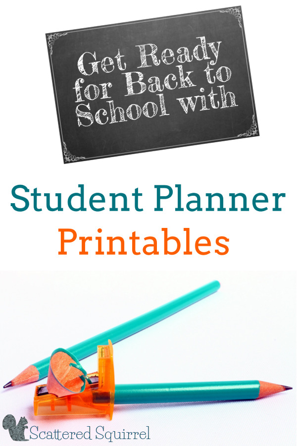 Best way to start something is by planning. This planner, will make the back to school transition so much easier.