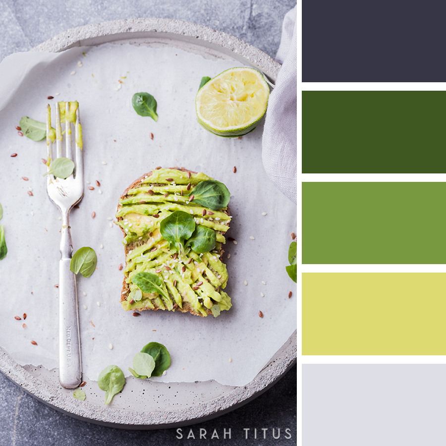 Color Palettes - Sarah Titus