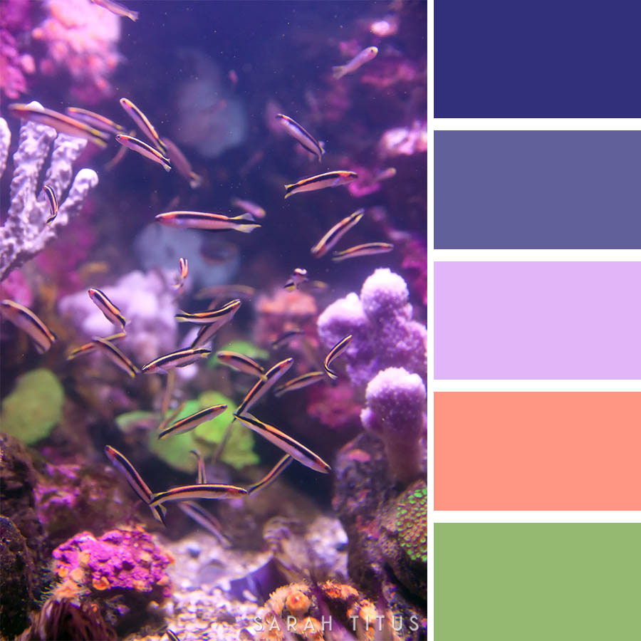 Don't lose your mind trying to figure out what colors go well together. These 25 Ocean Inspired Color Palettes will give all the inspiration you need to get the most beautiful results on all of your projects.