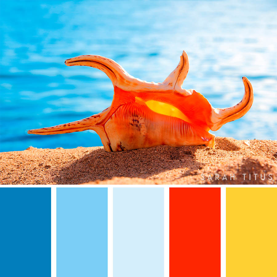 Don't lose your mind trying to figure out what colors go well together. These 25 Ocean Inspired Color Palettes will give all the inspiration you need to get the most beautiful results on all of your projects.