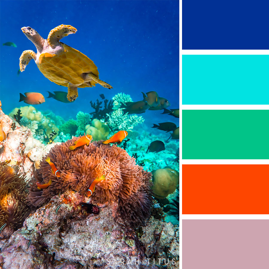 Color Palette Ideas from Sea Water Body Of Image  Ocean color palette,  Color palette, Turquoise color palette