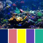 25 Ocean-Inspired Color Palettes - Sarah Titus