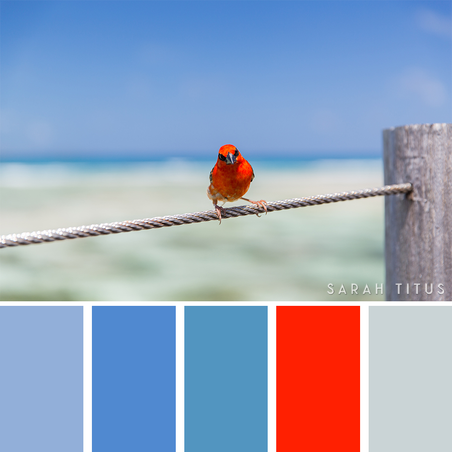 Don't lose your mind trying to figure out what colors go well together. These 25 Ocean Inspired Color Palettes will give all the inspiration you need to get the most beautiful results on all of your projects.