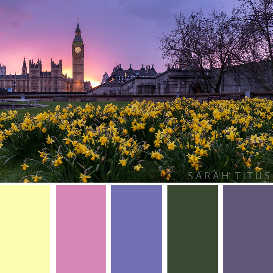 Color Palette of beautiful flowers featuring the beautiful London Big Ben