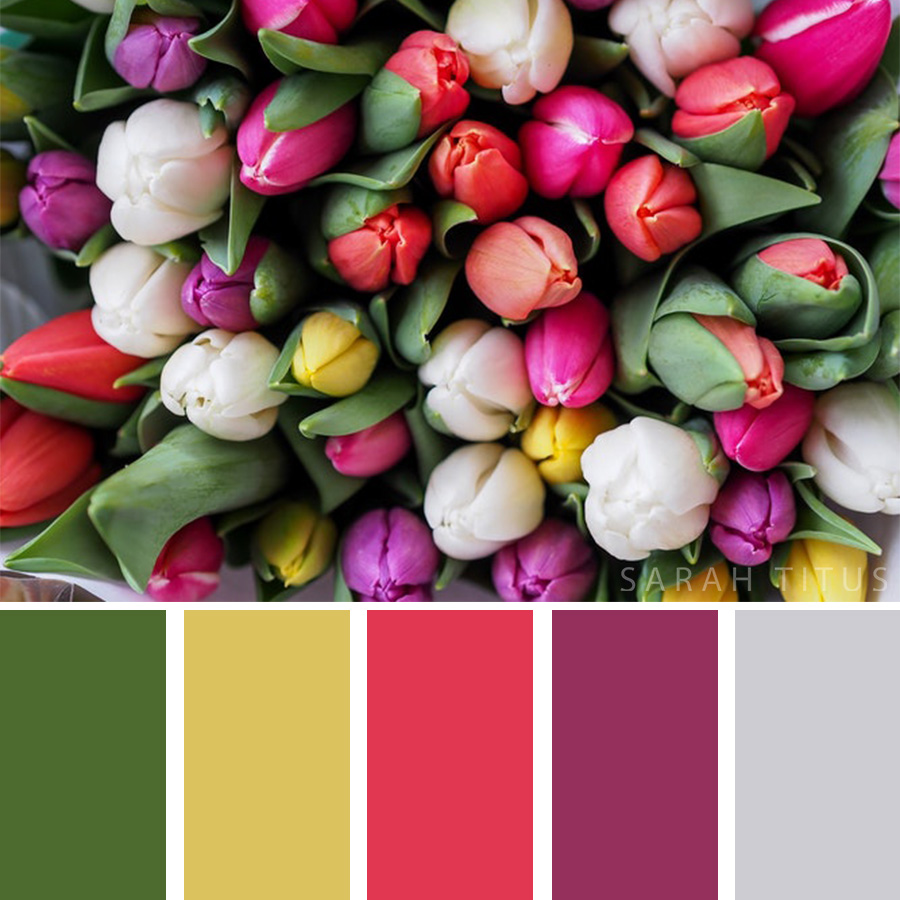 Beautiful Color Palette of different tulips