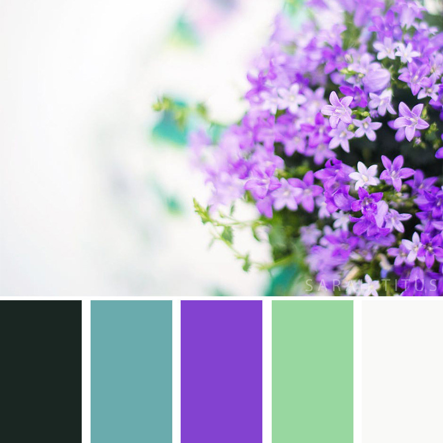 Purple Flowers color palette on a beautiful white background