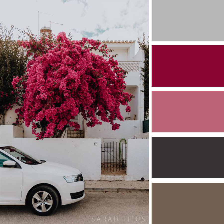 Beautiful white home with an astonishing pink tree Color Palette