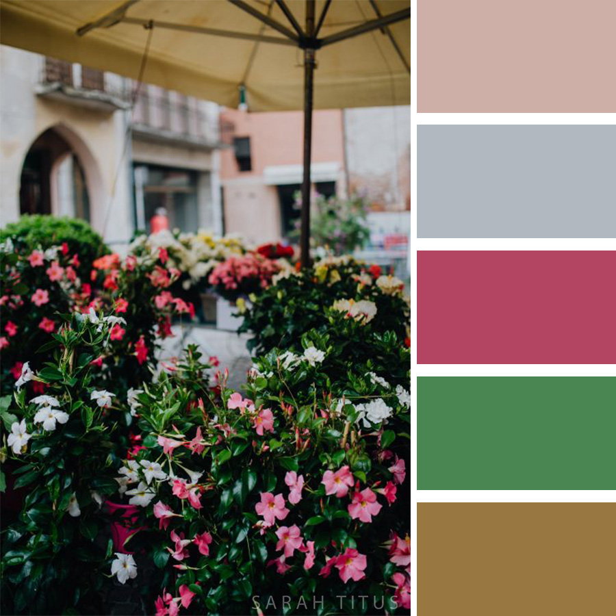 Beautiful Flower Bushes Color Palette