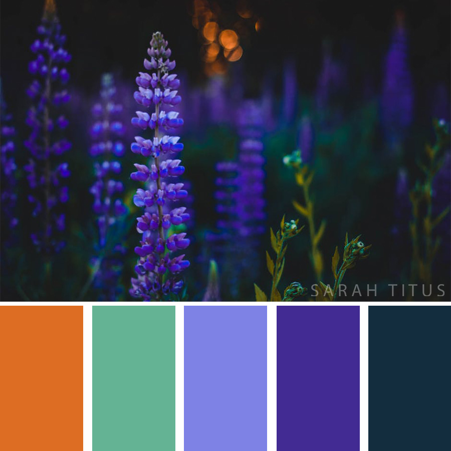Gorgeous flowers on a beautiful blue night Color Palette
