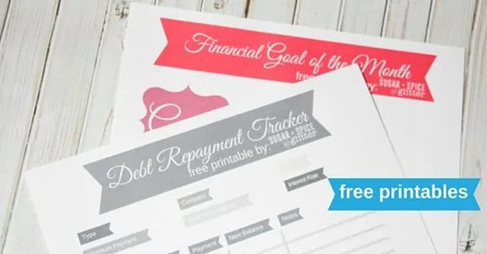 Debt Payoff Printable - Once you gather and fill all of the information for each of your debts, this debt repayment tracker will not only help you stay organized but also have a clear overview of your payments and always be prepared for the next one.