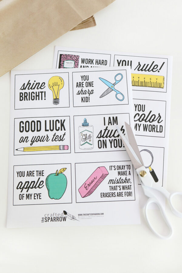 These back-to-school lunch box notes are so creative and fun. Your kids will surely be super proud when they will find them!