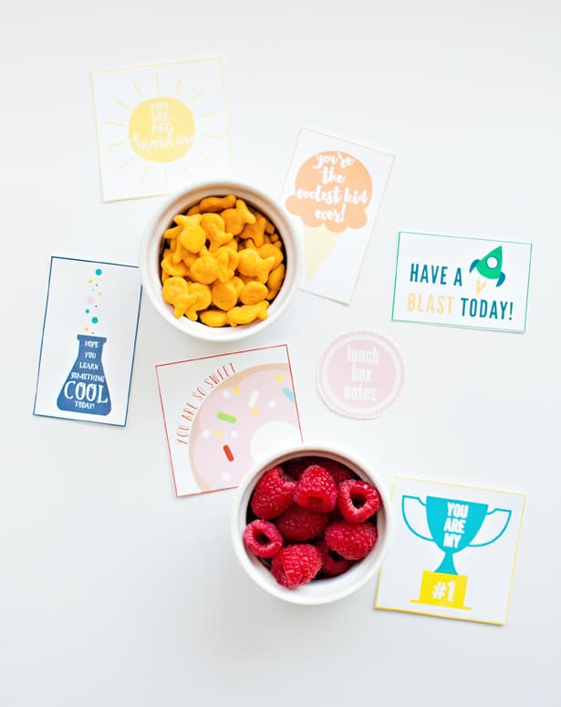 Encouraging lunch box notes are perfect for providing moral support to your kids, especially with the start of a new school year.