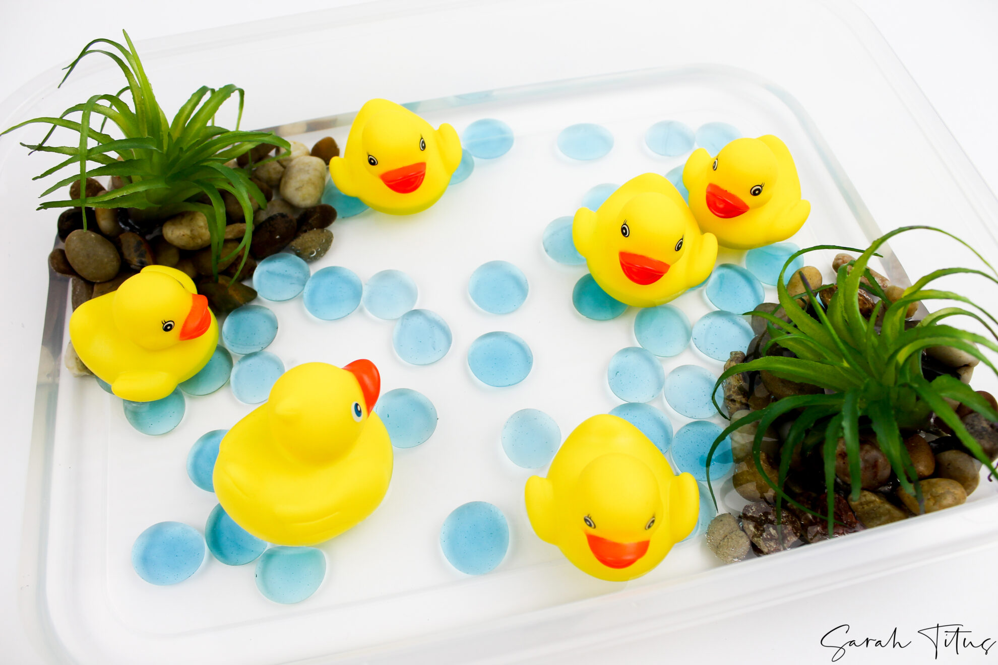 Cute Little Quack Sensory Play For Toddlers
