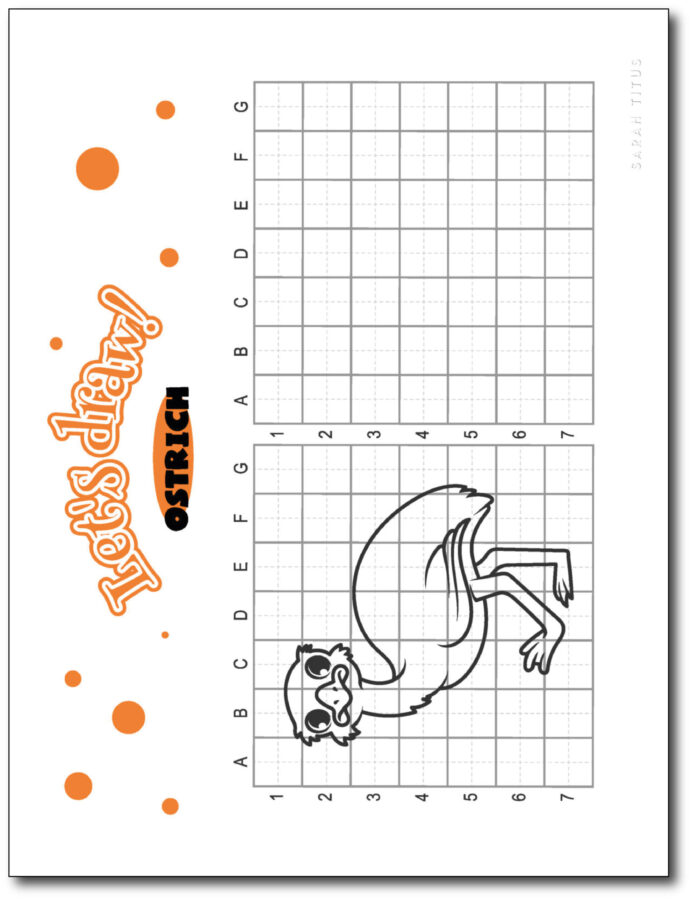 Draw-Ostrich-Step-By-Step
