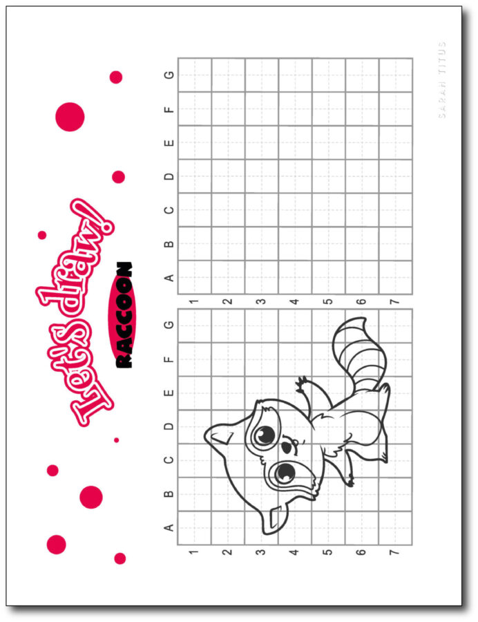 Draw-Raccoon-Step-By-Step