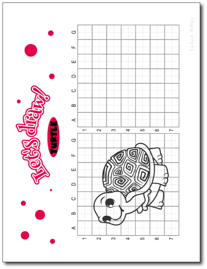 Draw-Turtle-Step-By-Step