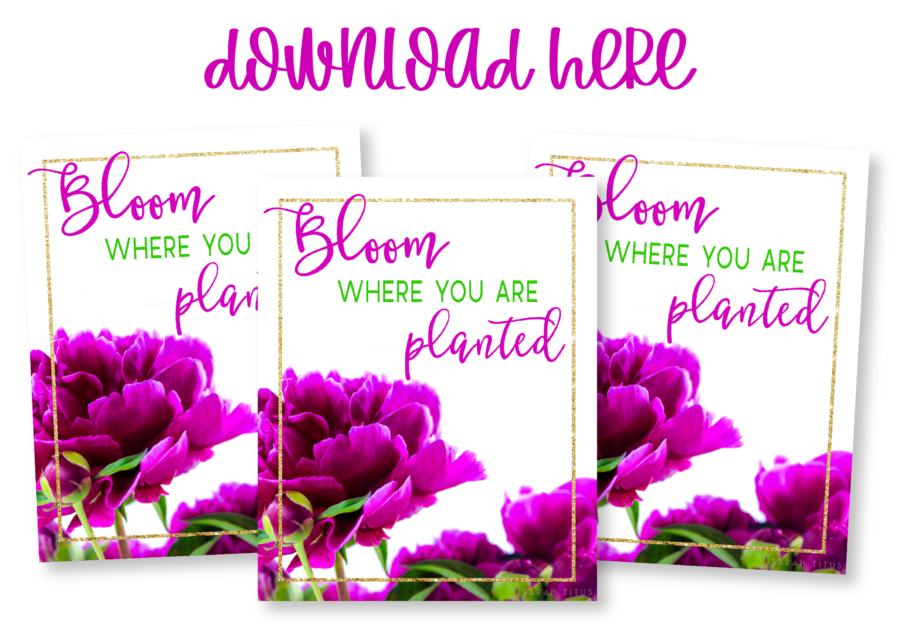 Bloom Where You Are Planted Free Wall Art Printable